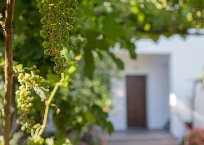 Gatzea Eden Garden * Kato Gatzea