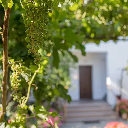 Gatzea Eden Garden * Като-Гацеа